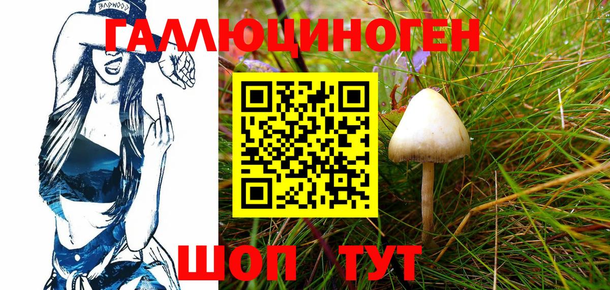 Галлюциногенные грибы Psilocybine cubensis  Вход с VPN  Шали  Псилоцибиновые грибы Cubensis 